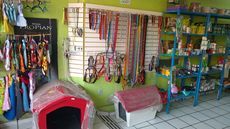 ACCESORIOS PARA MASCOTAS