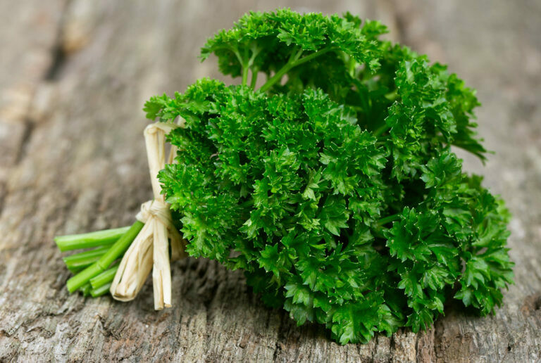 2 oz Curly Parsley