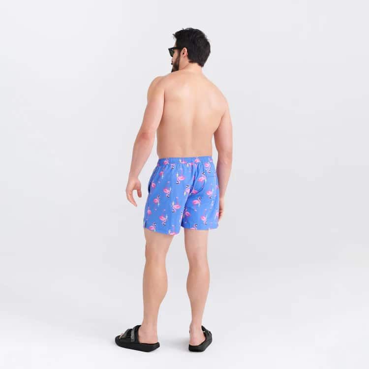 Saxx swimsuit hotsell
