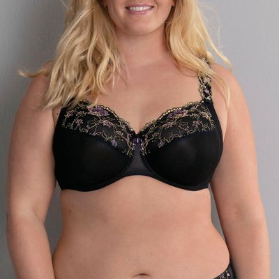 Rosa Faia Colette 5249 001