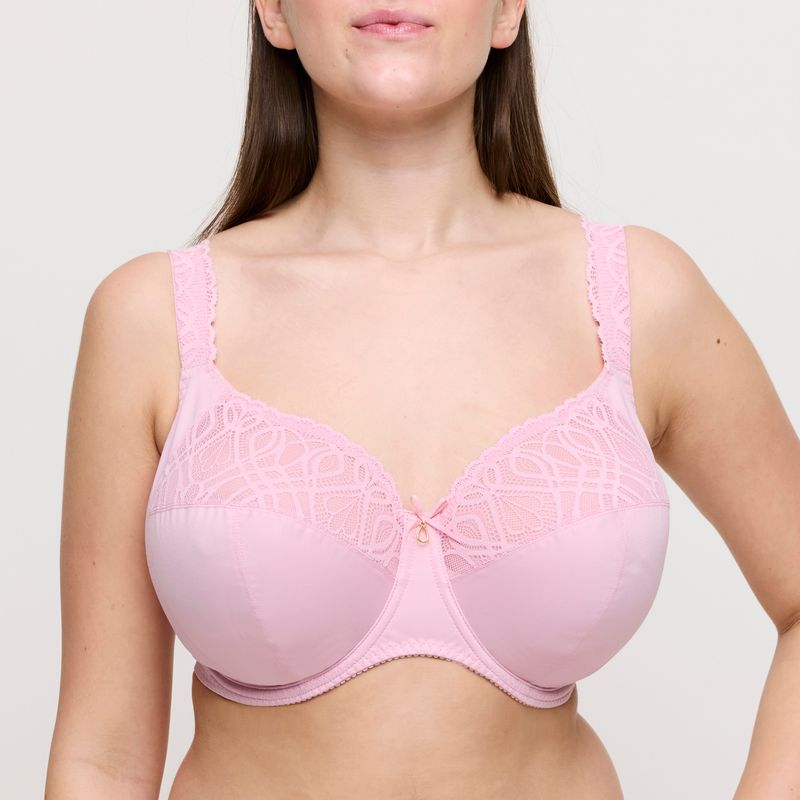 Prima Donna Salerno 0163535 SNR