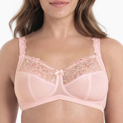 Rosa Faia Suzette 5254 128