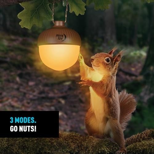 Radiant Nutlit Rechargeable Lantern