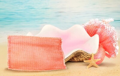 Mermaid Sponge Small 