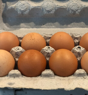 Fresh Brown Eggs