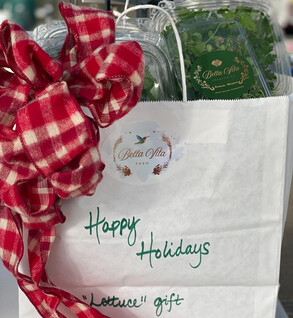 Lettuce Gift You