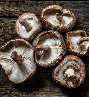 Mushroom: Shiitake - 1/2 lb