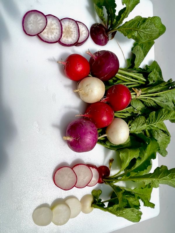 Multi-Color Radishes