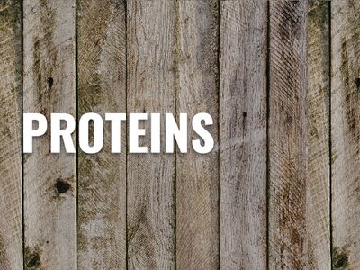 Proteins