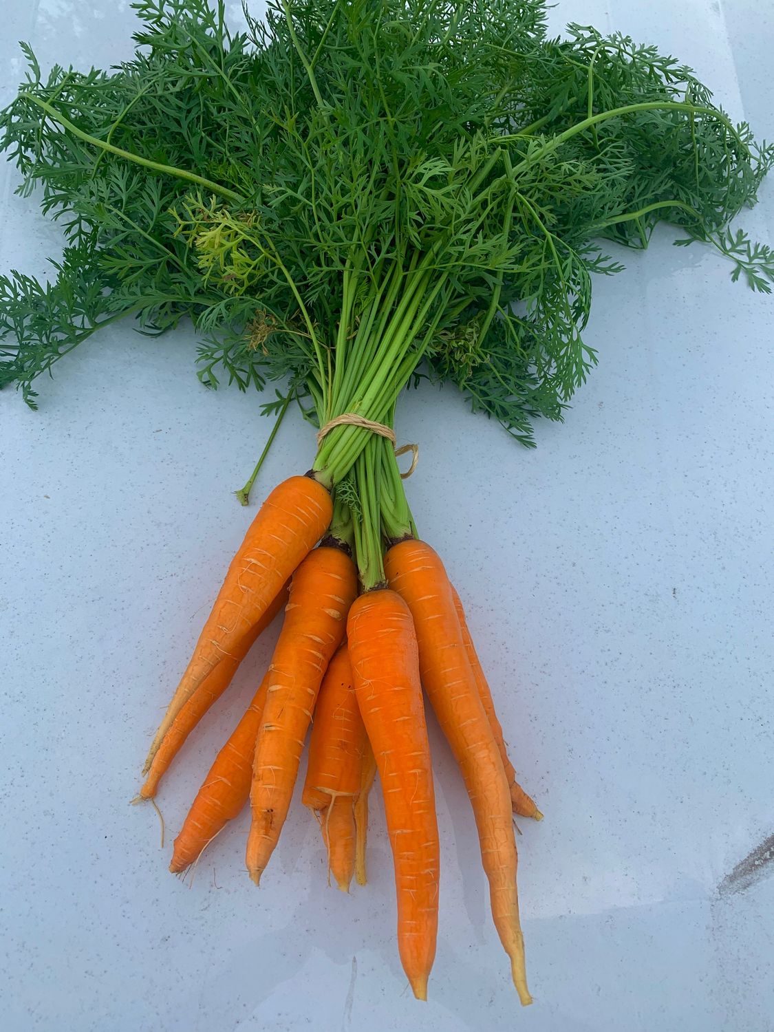 Carrots