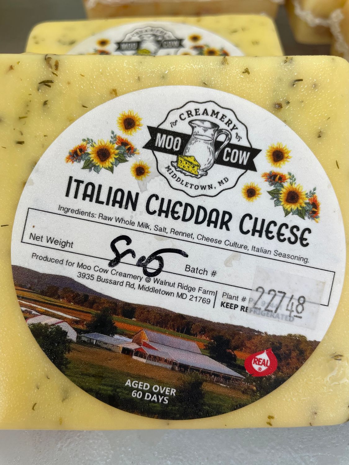 Italian Cheddar