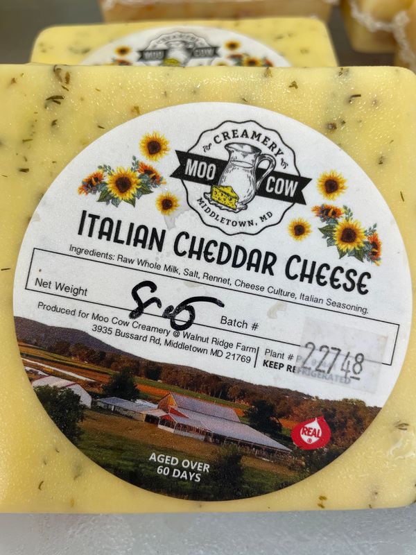 Italian Cheddar