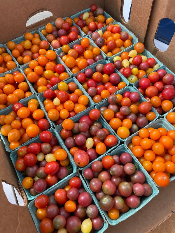 Mixed Cherrry Tomatoes (Pint)