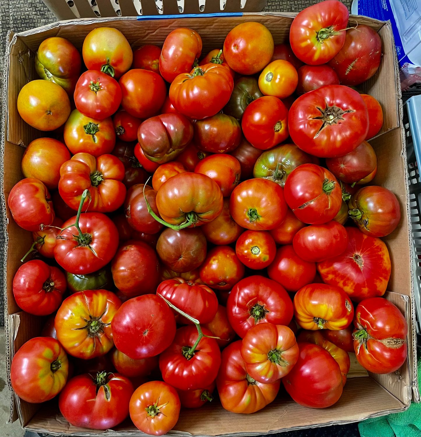 Heirloom Tomatoes per pound