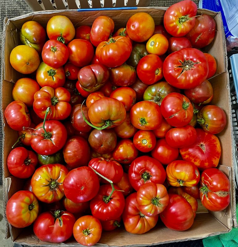 Heirloom Tomatoes per pound