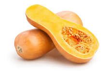 Butternut Squash