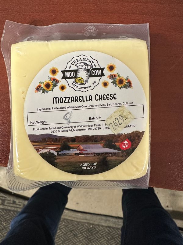 Mozzarella Chesse