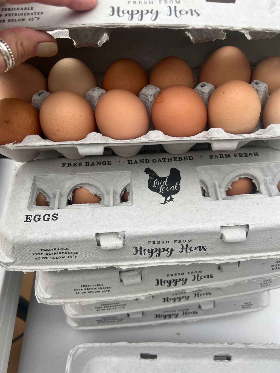 Pullet Eggs--Dozen