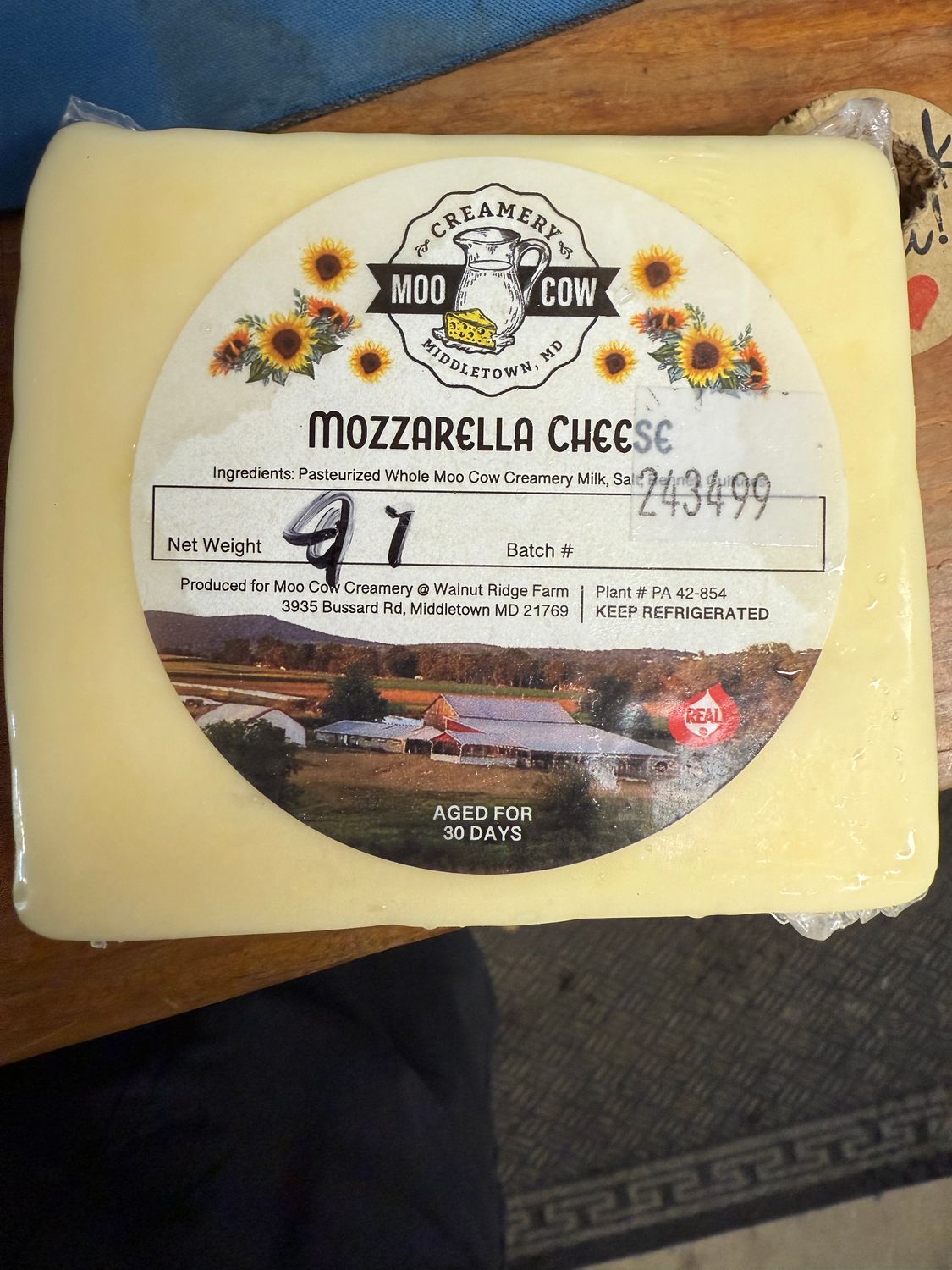 Cheese Mozzarella