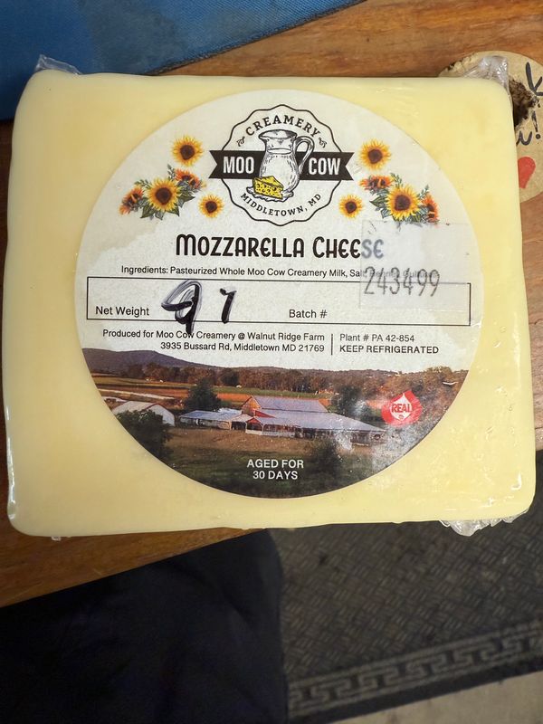Cheese Mozzarella