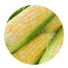 BiColor Sweet Corn-Dozen