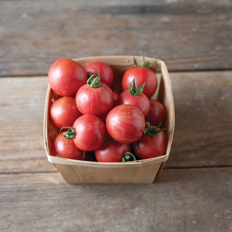 Honey Bee Cherry Tomatoes (PINT)