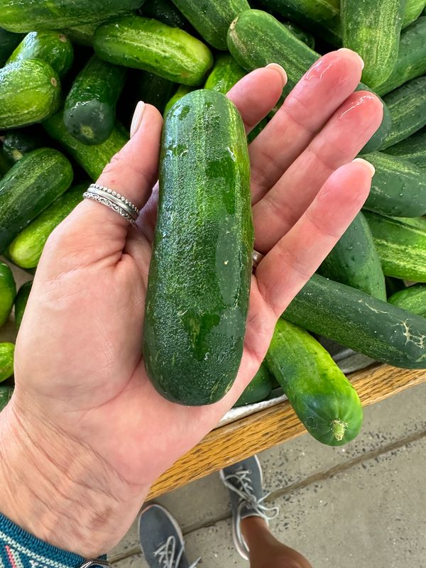 Pickling Cucumbers (Pound)