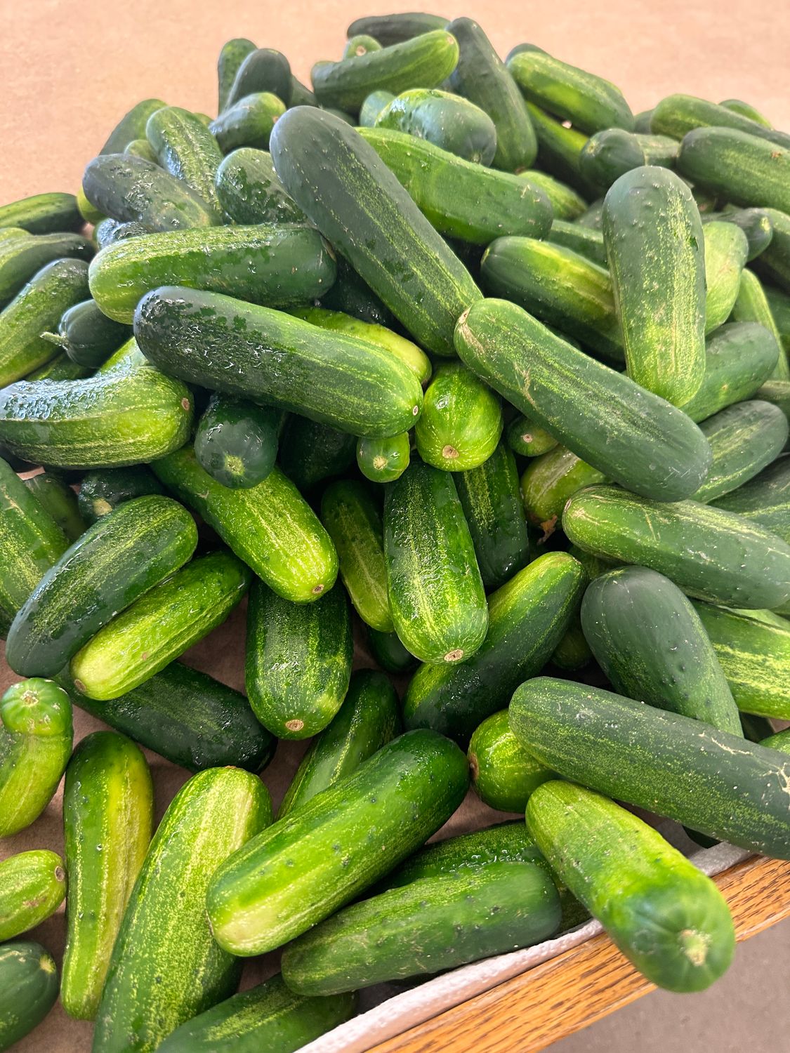 Slicing Cucumbers (pound)