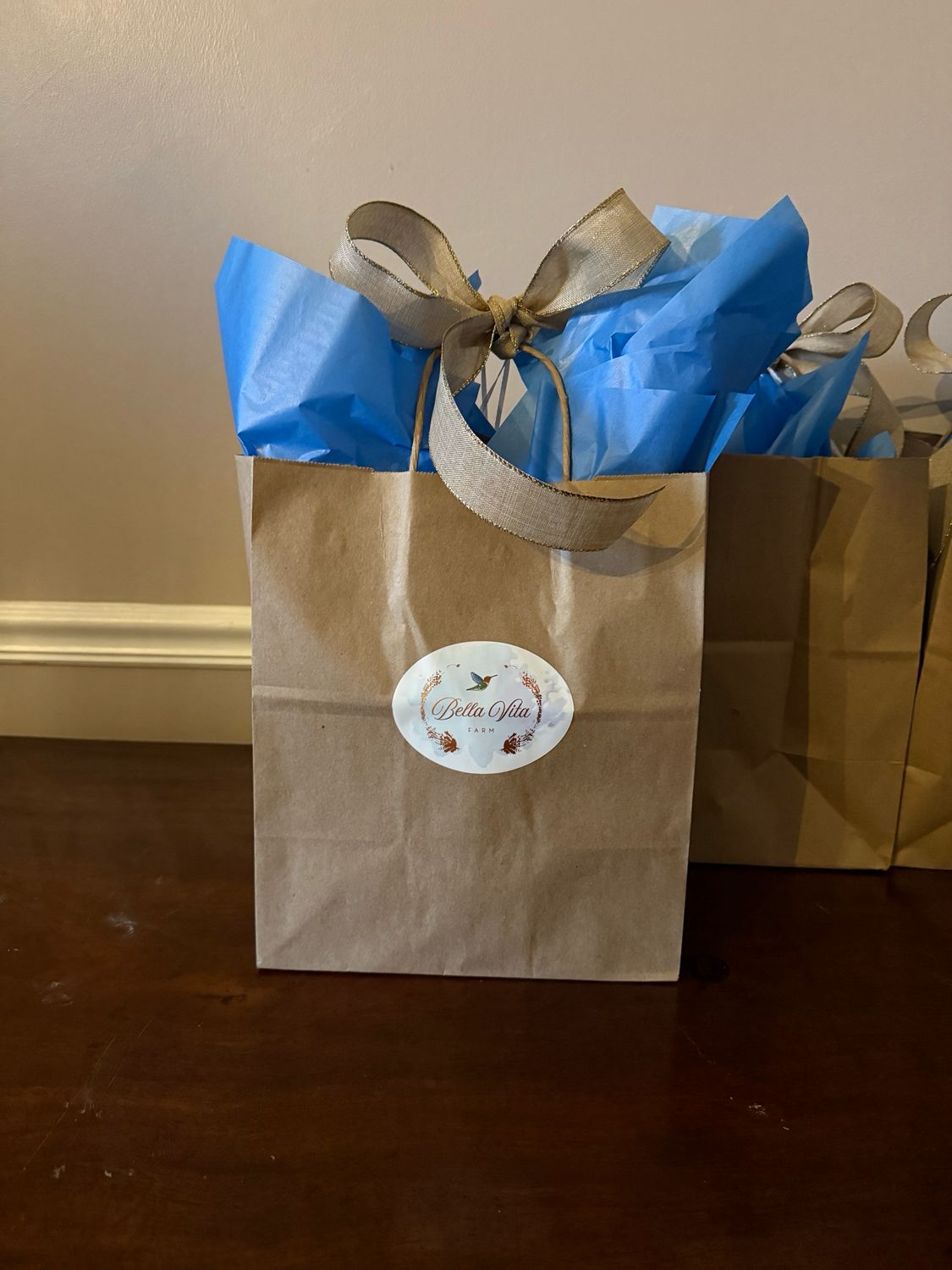 Holiday Gift Bags