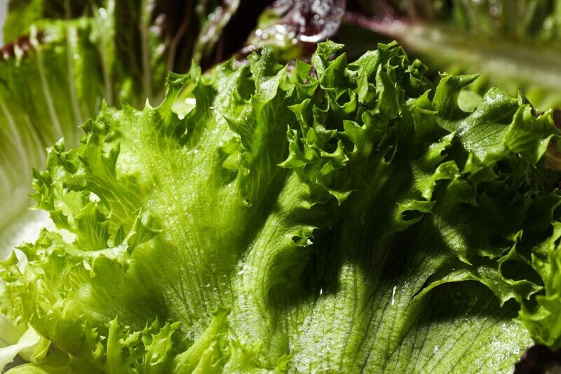 Bella Vita Mixed Greens