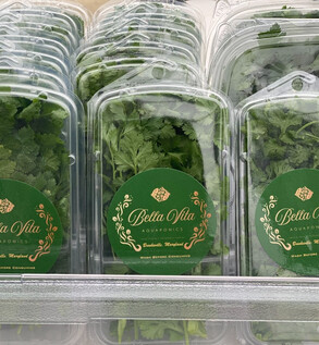 Microgreen Special