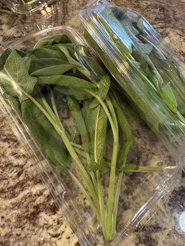 Herbs Sage (Pack)