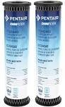 Pentair OMNIFilter TO1-DS12-05 Carbon Taste/Odor Water Filter Cartridge, 2-Pk.