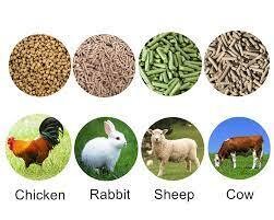Feed and Supplements