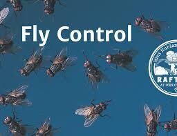 Fly Control Products