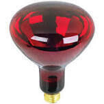 Feit Electric 250R40/10 Red Heat Lamp Bulb, 250W