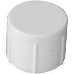 LASCO 448012BC PVC Threaded Cap, 1-1/4&quot;
