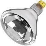 Feit Electric 250R40/1 Heat Lamp Bulb, 250W