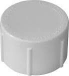 LASCO 448020BC PVC Threaded Cap,  2&quot;