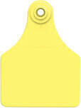Agritag AT-COW/GSM-Y Maxi Yellow Blank Cow Tags, 25Pk