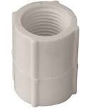 LASCO 430005BC PVC Threaded Coupler, 1/2&quot;