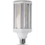 Medium Base LED Light Bulb, 5000k