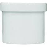 LASCO 449010BC PVC Spigot Plug, 1&quot;