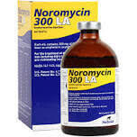 Noromycin 300LA, 100Ml