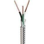 Armorlite Building Wire, 10/2MC-BX X 250Ft