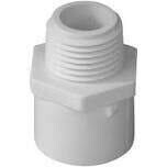 LASCO 436131BC PVC Sch40 Male Adaptor, 3/4&quot;X1&quot;