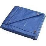 ProSource T1012BB90 Blue Tarp, 10Ft X 12Ft