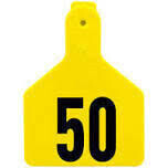 Yellow Calf Size Z-Tags, 26-50