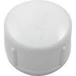 LASCO 447020BC PVC Sch40 Cap, 2&quot;