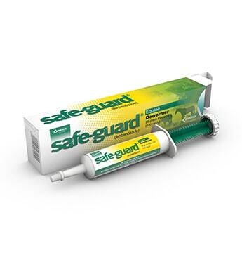 Safeguard 064832 Equine Paste, 25G